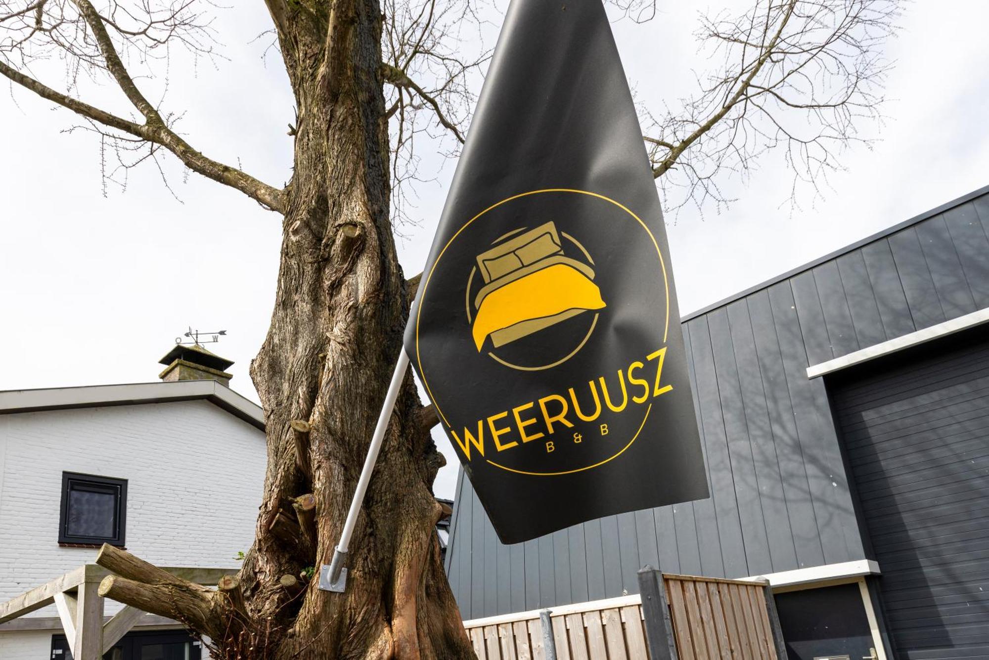 Weeruusz Bed & Breakfast Kolderwolde Ngoại thất bức ảnh